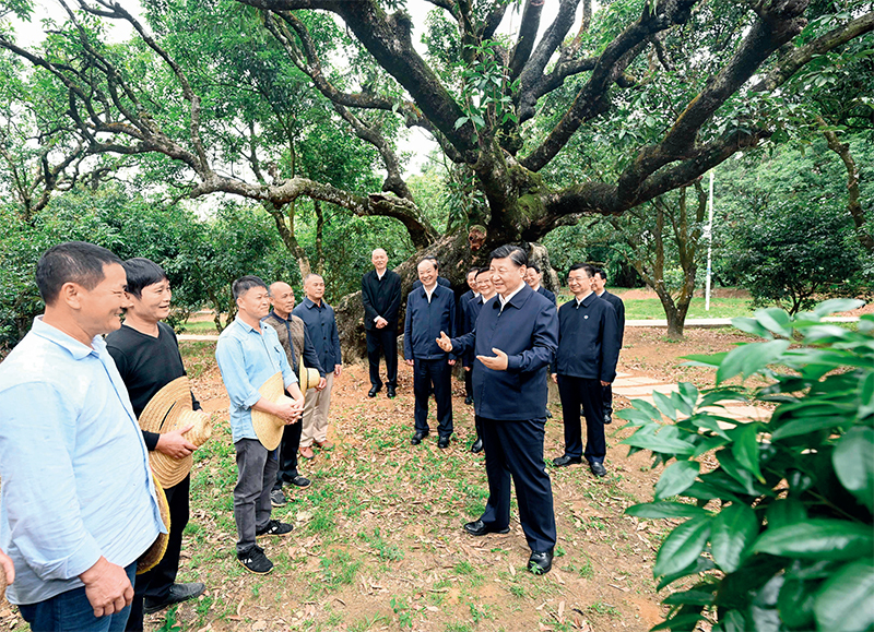 2023年4月10日至13日，中共中央總書(shū)記、國(guó)家主席、中央軍委主席習(xí)近平在廣東考察。這是11日下午，習(xí)近平在茂名高州市根子鎮(zhèn)柏橋村荔枝種植園，同現(xiàn)場(chǎng)技術(shù)人員親切交流。