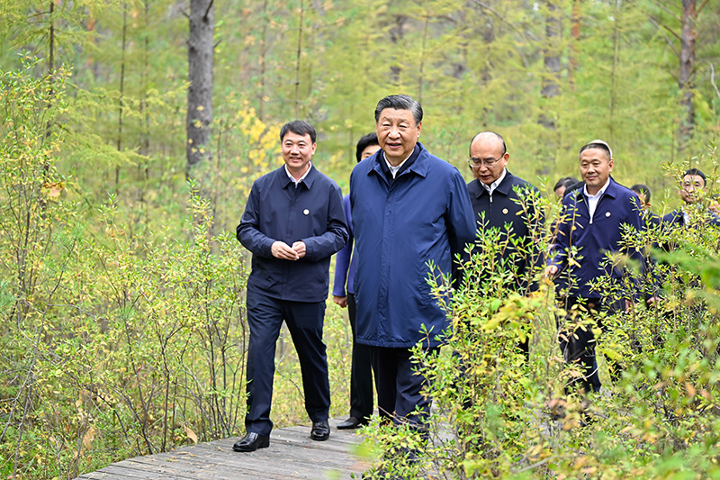 9月6日至8日，中共中央總書記、國家主席、中央軍委主席習(xí)近平在黑龍江考察。這是6日下午，習(xí)近平在大興安嶺地區(qū)漠河市漠河林場(chǎng)自然林區(qū)考察